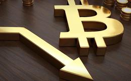 Giá Bitcoin hôm nay 5/8: Bitcoin lại bước vào giai đoạn khó đoán