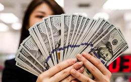 Tỷ giá USD hôm nay 5/8: Tỷ giá trung tâm tăng 25 đồng