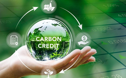 Sàn giao dịch carbon mới chỉ có một phiên giao dịch sau 1 tháng vận hành
