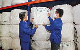 Nâng quy mô dự trữ quốc gia lên 1% GDP vào năm 2030