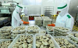 Nghêu Việt tăng tốc tại các thị trường chủ lực