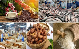 Nông, lâm, thủy sản xuất siêu 14,25 tỷ USD trong 8 tháng