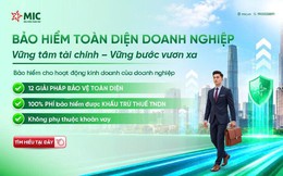 Quản trị rủi ro doanh nghiệp: "lá chắn" 12 lớp bảo vệ của MIC giúp doanh nghiệp an tâm vươn tầm