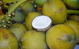 Dừa vươn lên dẫn đầu nhóm rau quả Việt xuất sang Mỹ