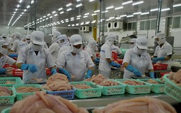 Ấn Độ chiếm hơn 15% thị phần thủy sản nhập khẩu của Việt Nam