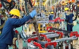 PMI ngành sản xuất của Việt Nam đạt 53,3 điểm trong tháng 8