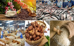 Xuất khẩu nông lâm thủy sản 8 tháng đạt gần 49,31 tỷ USD