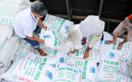 Việt Nam xuất khẩu hơn 1,9 triệu tấn phân bón, thu về hơn 1 tỷ USD