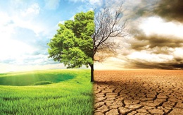 IMF cảnh báo: Biến đổi khí hậu là 'mối đe dọa nghiêm trọng' đối với tăng trưởng kinh tế toàn cầu