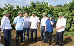 Sơn La đẩy mạnh xúc tiến đầu tư