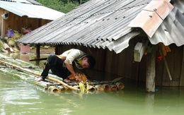 NHNN: Hỗ trợ, miễn giảm lãi vay cho người dân vùng lũ