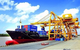 Việt Nam xuất siêu kỷ lục 18,72 tỷ USD bất chấp Covid-19