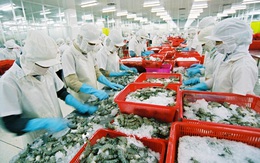 Kim ngạch xuất khẩu thủy sản dự kiến đạt 2,3 tỷ USD trong 3 tháng cuối năm