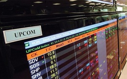 Hàng loạt cổ phiếu bị hủy và tạm ngừng giao dịch trên UPCoM