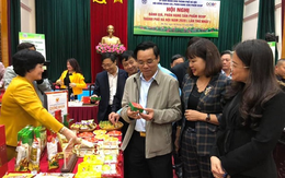 Hà Nội: Công nhận thêm 334 sản phẩm OCOP