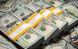 Tỷ giá ngoại tệ ngày 6/11: Đồng USD tiếp tục trượt dốc