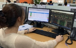 Thị trường chứng khoán và cơ hội cho 'người đến sau'