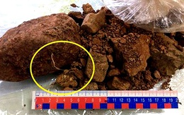 Khởi tố một doanh nghiệp xuất khẩu quặng bauxite thô