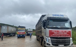 Tìm nguồn heo chất lượng tại Thái Lan để cạnh tranh lành mạnh với thị trường trong nước