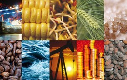 Thị trường ngày 25/8: Giá dầu tăng do sắp bão, vàng giảm tiếp