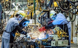 Vốn FDI tập trung nhiều nhất vào lĩnh vực chế biến, chế tạo