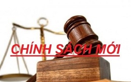 Tổng hợp những chính sách mới có hiệu lực từ tháng 9/2020