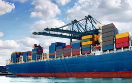 Ấn tượng xuất nhập khẩu Việt Nam năm 2020