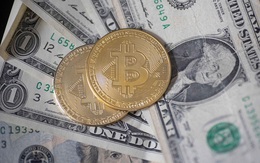 Giá Bitcoin hôm nay 2/10: Đạt mức cao nhất gần hai tuần