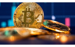 Giá Bitcoin hôm nay 7/10: Xuyên phá mốc 55.000 USD