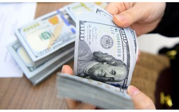 Tỷ giá USD ngày 19/3: Tăng mạnh khi lợi suất trái phiếu phục hồi