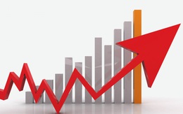GDP quý I/2021 vẫn tăng 4,8% bất chấp COVID-19