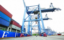 Để doanh nghiệp logistics Việt tiến lên cấp độ cao hơn