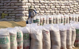 USDA: Việt Nam xếp thứ 2 sau Ấn Độ về xuất khẩu gạo