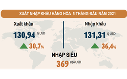 Bất chấp COVID-19, xuất nhập khẩu 5 tháng vẫn tăng 33,5%