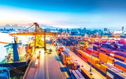 ADB hạ dự báo tăng trưởng Việt Nam năm 2021 xuống còn 5,8%