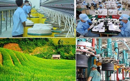 Chuyên gia: "Mục tiêu tăng trưởng GDP 6,5% vẫn trong tầm tay"