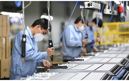 Hơn 8.700 doanh nghiệp thành lập mới trong tháng 7