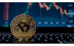 50 năm tới, Bitcoin có thể là đồng tiền dự trữ hàng đầu thế giới