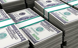 Tỷ giá USD ngày 11/8: Chạm mức đỉnh trong hơn 4 tháng