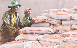Nên tạm dừng xuất khẩu phân bón, ưu tiên thị trường trong nước