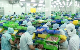 Đồng bằng sông Cửu Long: Doanh nghiệp và người lao động kiệt sức vì COVID-19
