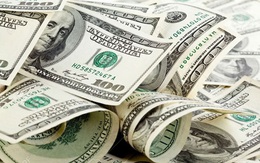 Tỷ giá USD ngày 20/8: Tăng lên mức cao nhất trong 9 tháng