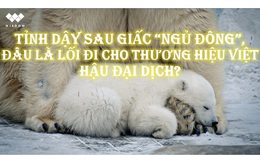 Tỉnh dậy sau giấc "ngủ đông", đâu là lối đi cho thương hiệu Việt?