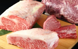 Đỉnh cao công nghệ là đây: Nhật Bản dùng công nghệ in 3D sinh học tạo ra miếng bò Wagyu đầu tiên. Sắp đến ngày người dùng được ăn thịt bò Wagyu mà không cần giết mổ bất cứ con bò nào