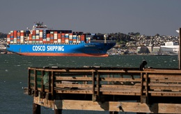 Hiện thực tàn khốc của ‘địa ngục’ chuỗi cung ứng: Giám đốc logistic van nài 'chỉ cần lấy cho tôi 1 container thôi', chi phí vận chuyển gấp hàng chục lần vẫn cam chịu