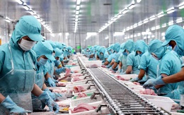 Xuất khẩu thủy sản năm 2022: Nhiều cơ hội và thách thức đan xen
