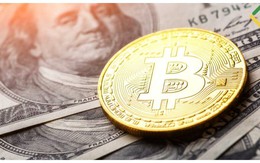 Giá Bitcoin hôm nay 12/10: Giữ mốc hỗ trợ 19.000 USD