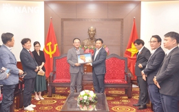 Đà Nẵng: Đẩy mạnh hợp tác với thành phố Daegu - Hàn Quốc