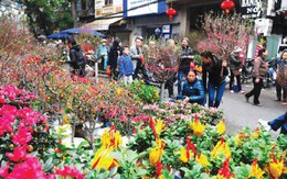 Hà Nội sẽ tổ chức 91 điểm chợ hoa xuân trong Tết Nguyên đán Quý Mão 2023