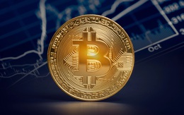 Giá Bitcoin hôm nay 29/12: Trượt về mốc 16.500 USD